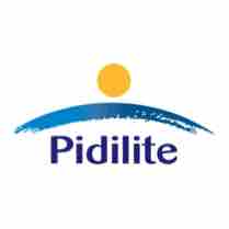 VEF - Client Logo - Pidilite